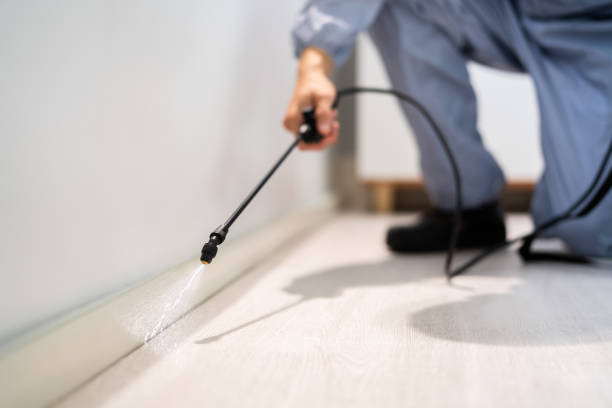 Professional exterminator conducting IPM assessment in Garfield Heights